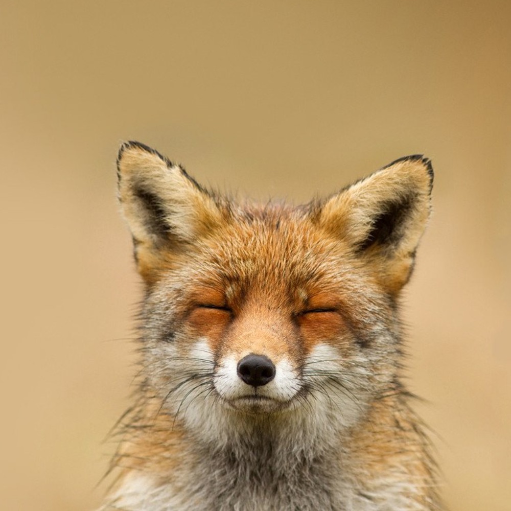 Meet your Posher, Keeley